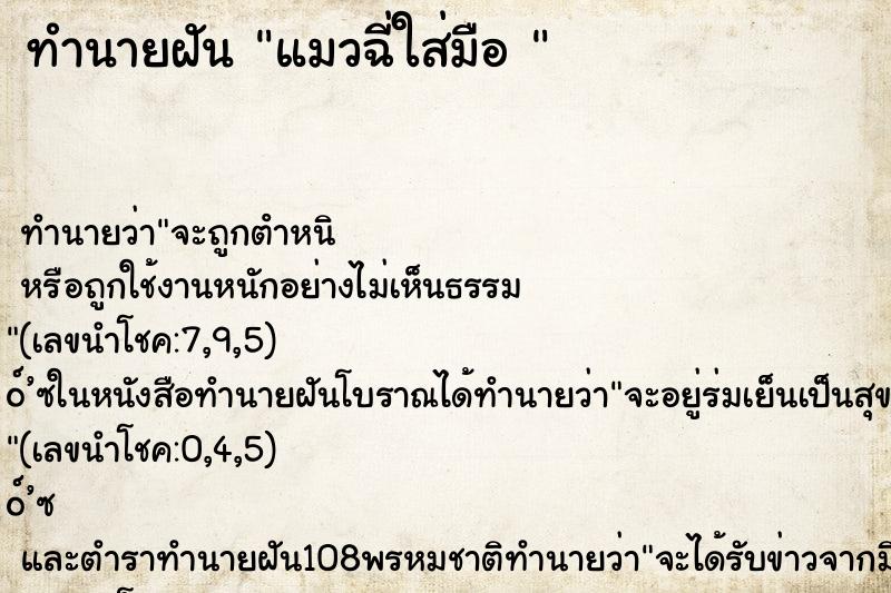 ทำนายฝันทำนายฝันแมวฉี่ใส่มือ